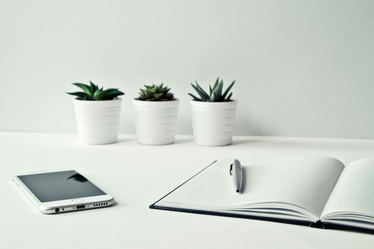 Why do people thrive in co working spaces?